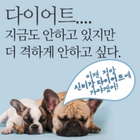 사용자 지정 1.jpg